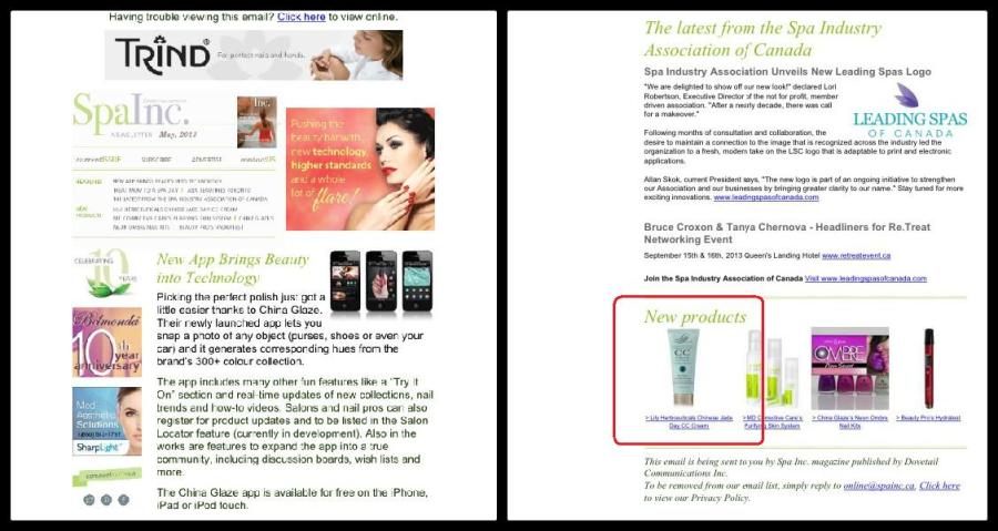 Spa Inc. Magazine Newsletter