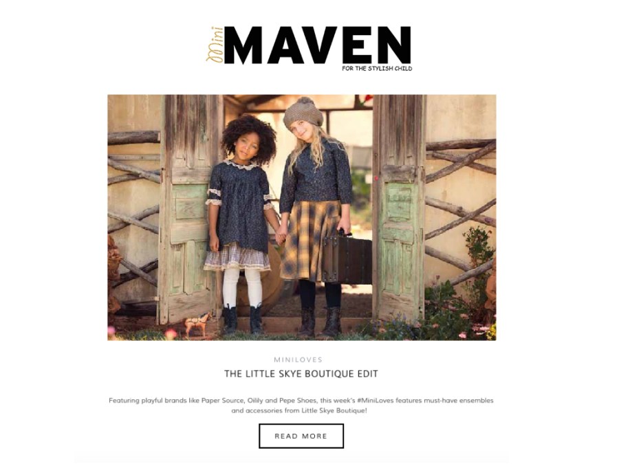 LS MINI MAVEN.001